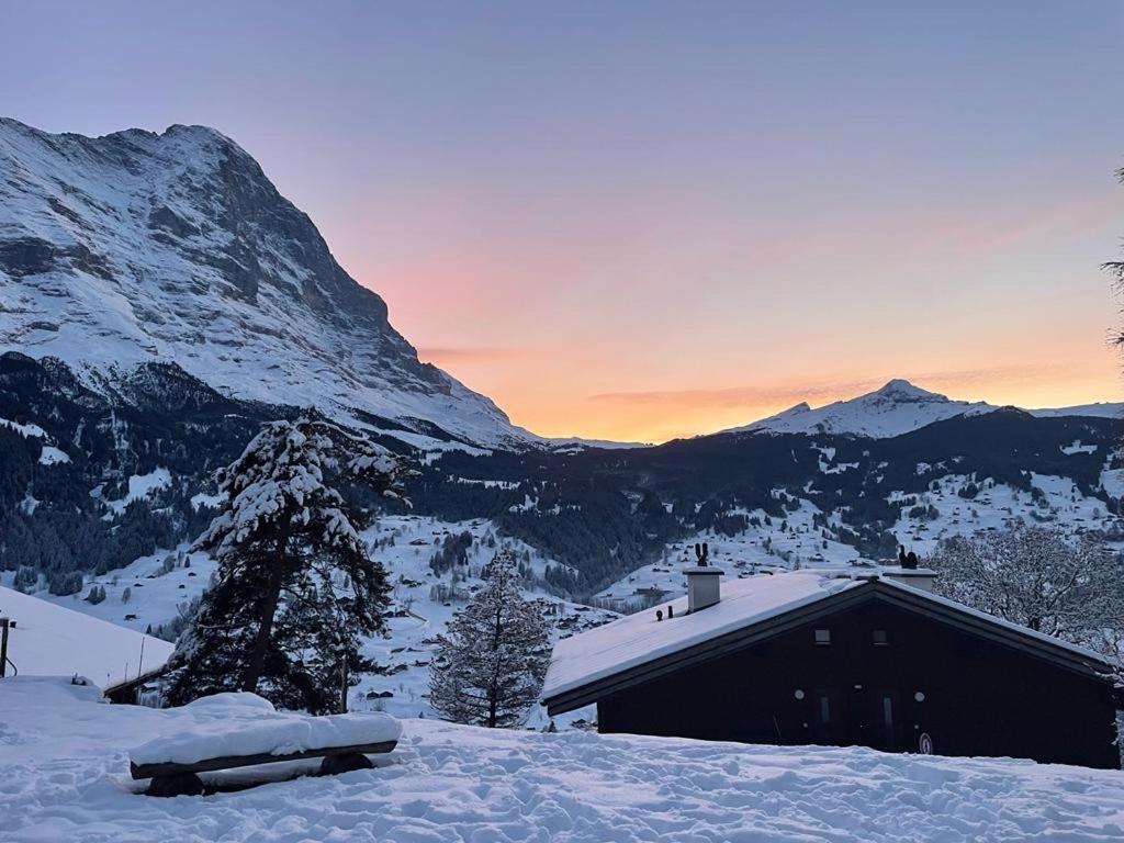 Eiger View Alpine Lodge Grindelwald Buitenkant foto